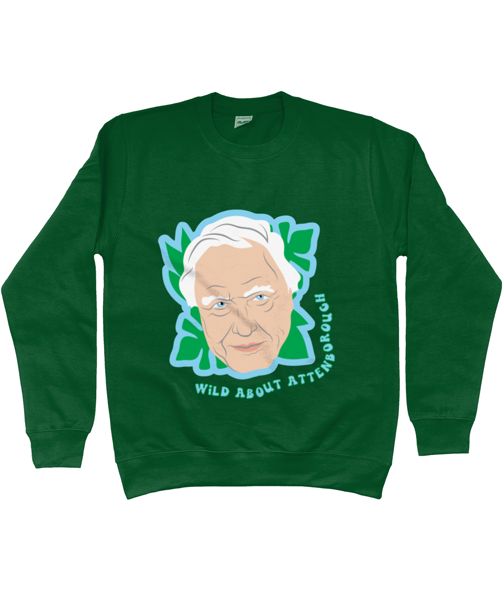 David 2024 attenborough sweater