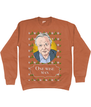 Load image into Gallery viewer, David Attenborough &#39;One Wise Man&#39; Christmas jumper - adults&#39;